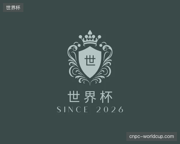 解读世界杯官方网站